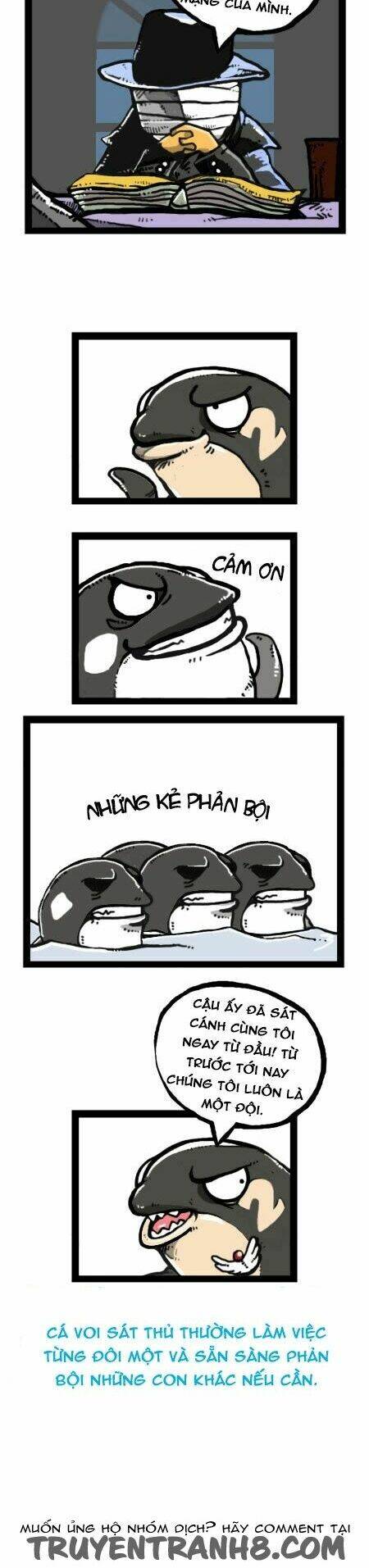 earth, human, and animal chapter 23 8