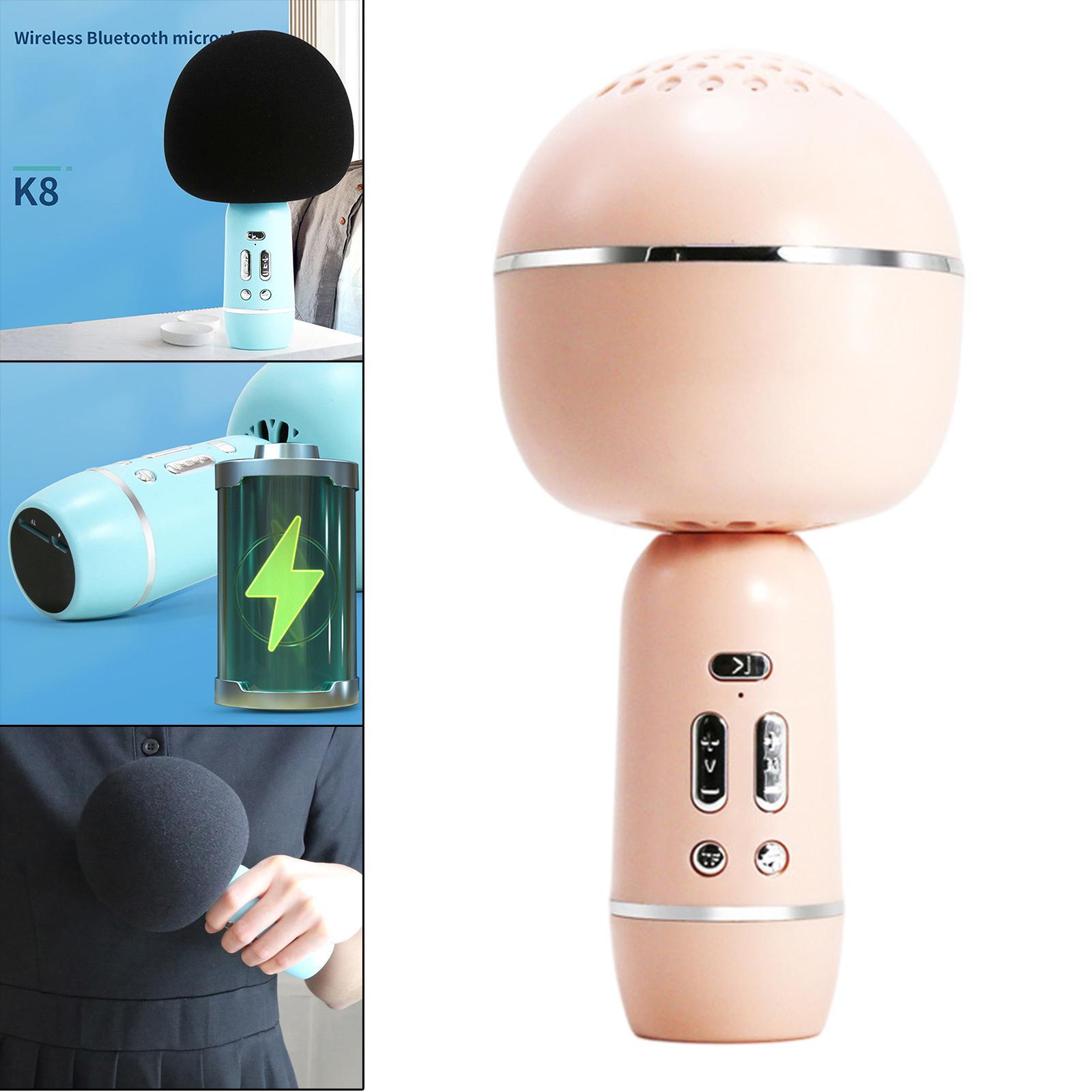 Portable Wireless Microphone Karaoke Speaker Karaoke Machine