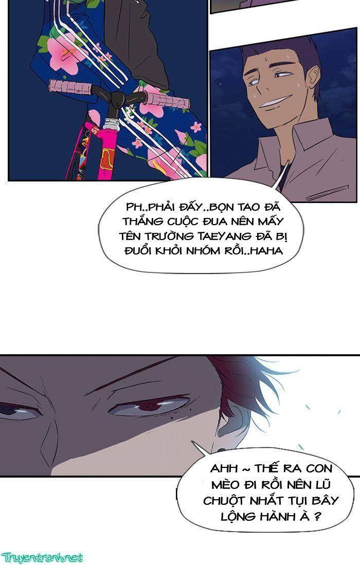 wind breaker chapter 17 20