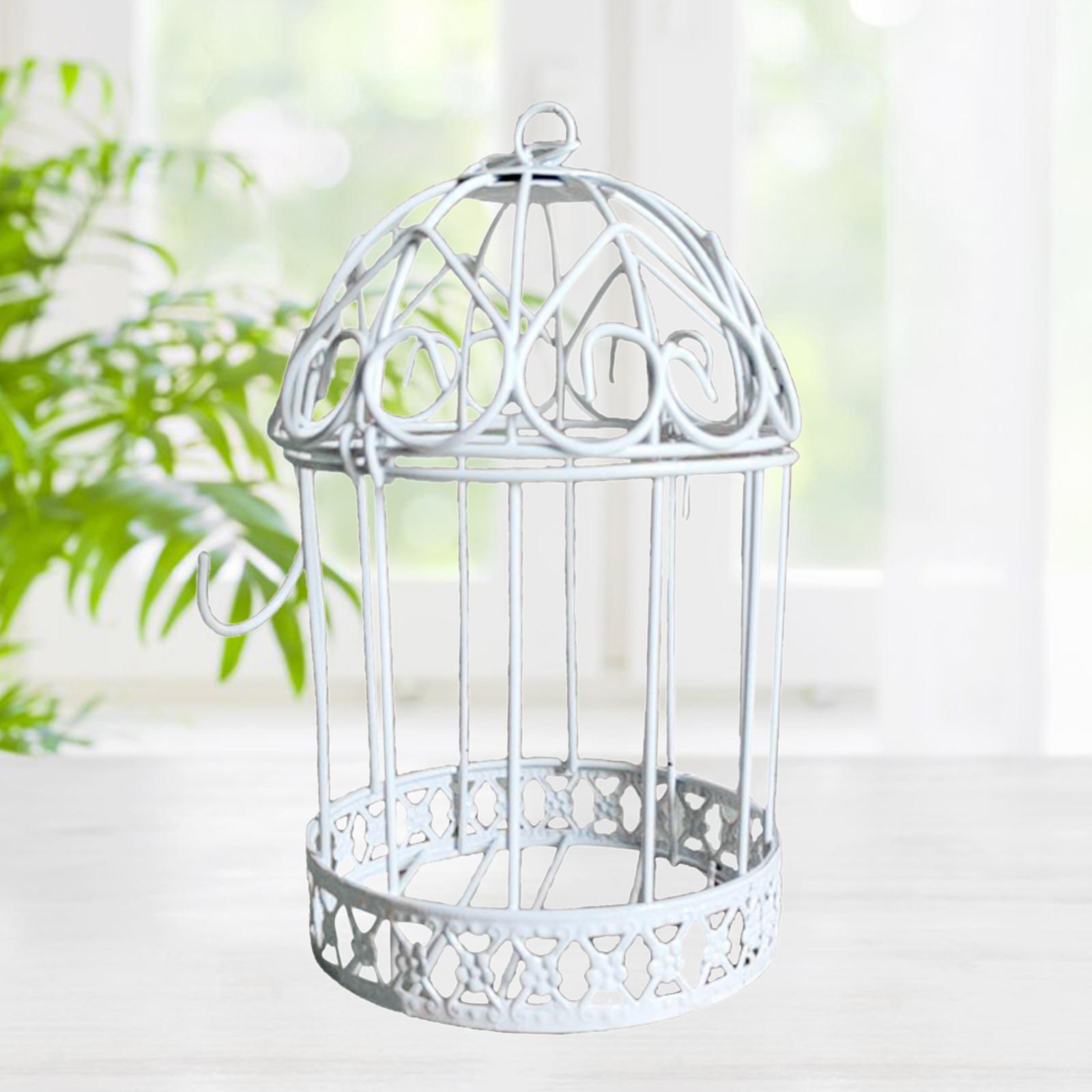 2Pcs Iron Birdcage Frame Wire Succulent Pot Metal Planter Iron Plant Basket