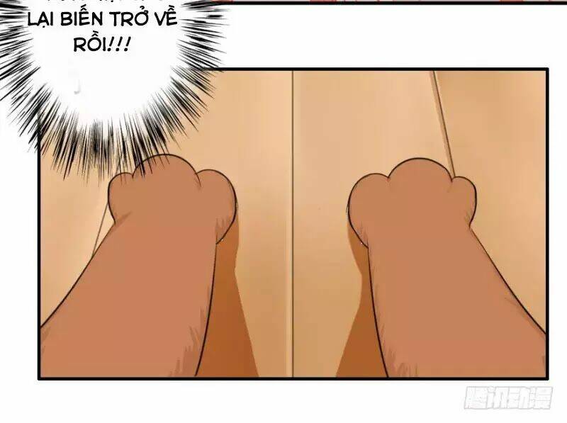 hành trình sủng đế cơ chapter 2 14