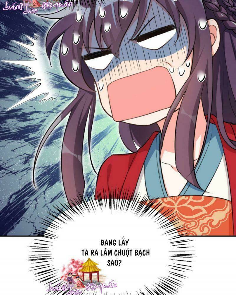 nữ tiên tôn bận đào hôn chapter 8 17