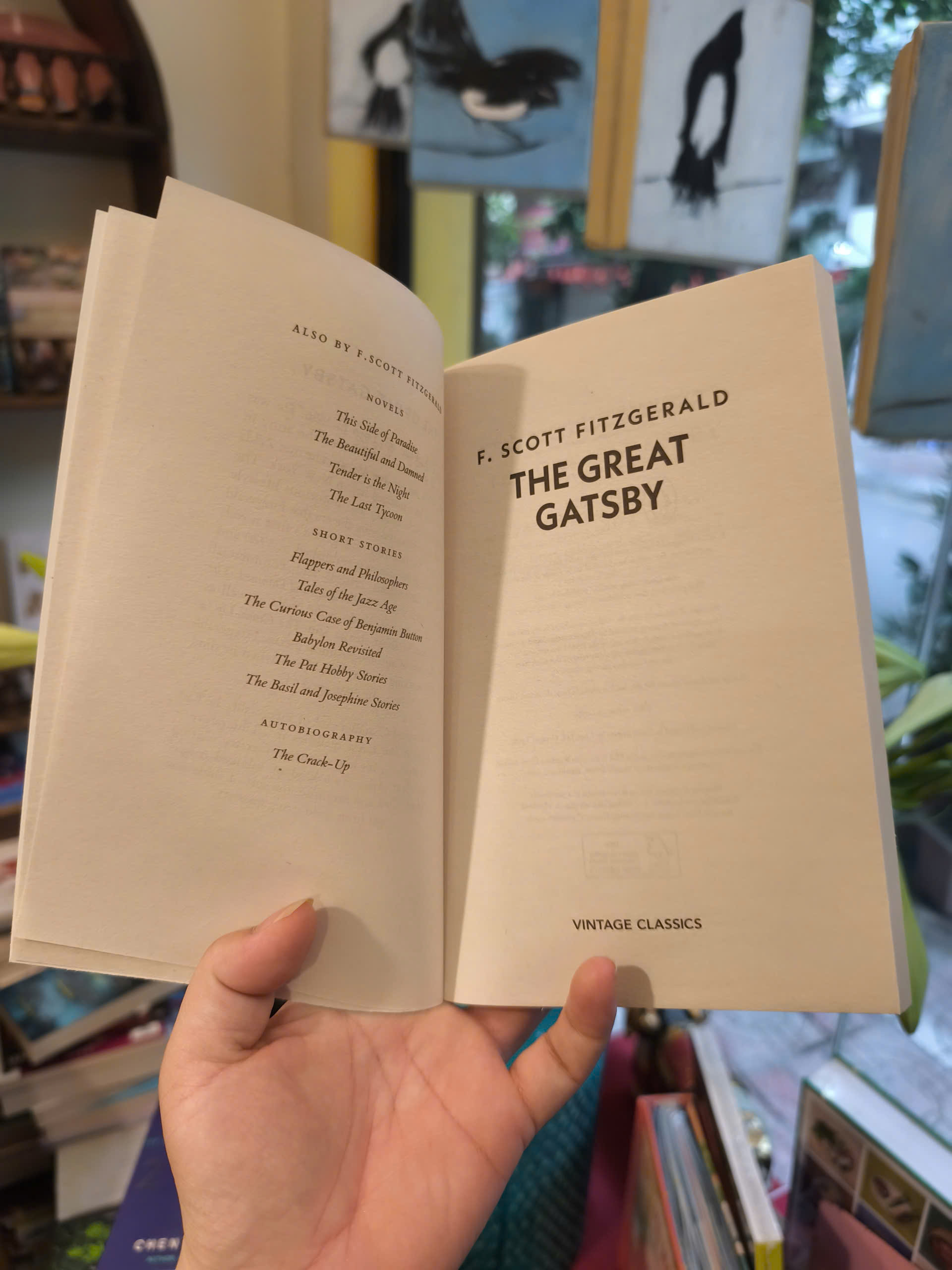 Sách - The Great Gatsby by F. Scott Fitzgerald | Classics / Historical Fiction / Ngoại văn Nhập khẩu