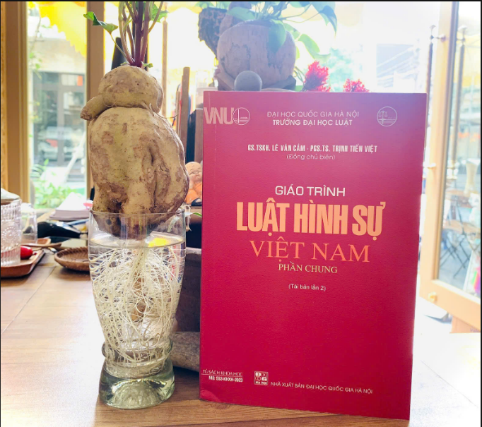 Sách - Giáo Trình Luật Hình Sự Việt Nam - Phần Chung Tái Bản Lần Thứ 2