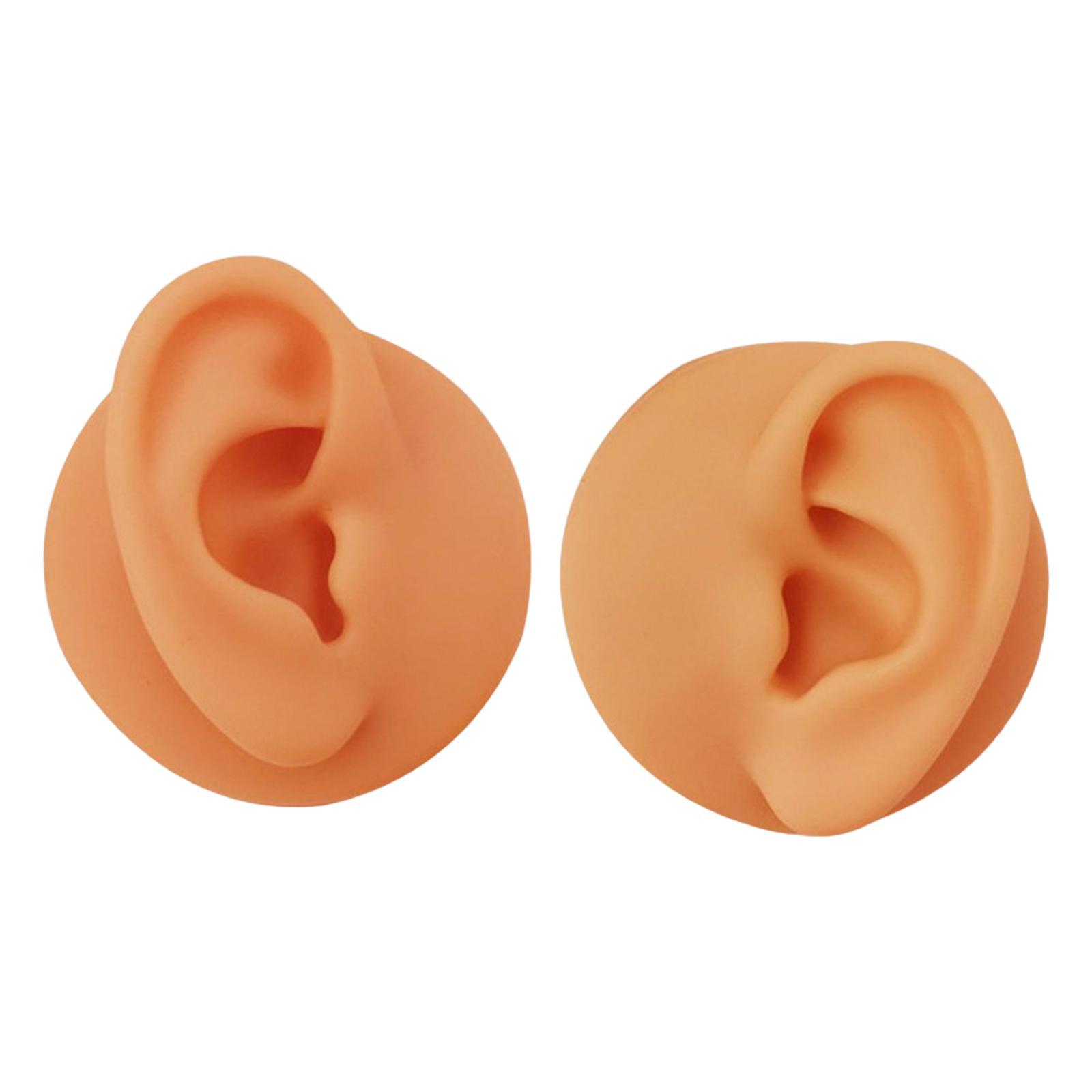 Soft Silicone Ear Model Simulated Ear Models Rubber Washable for Shop Brown