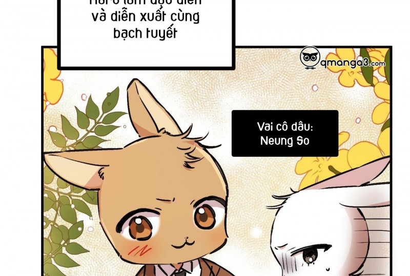 những chú thỏ của hapypy chapter 32.5 58