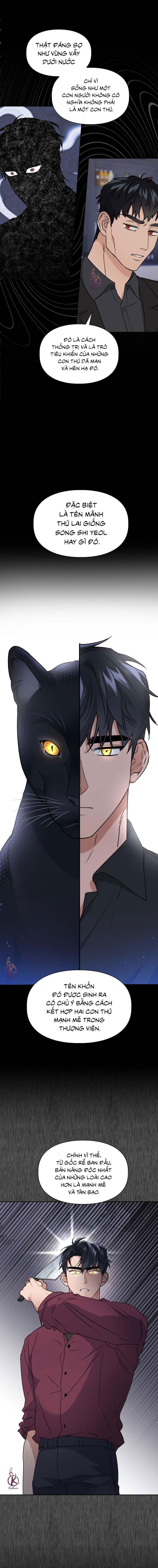 mồi nhử chapter 59 3