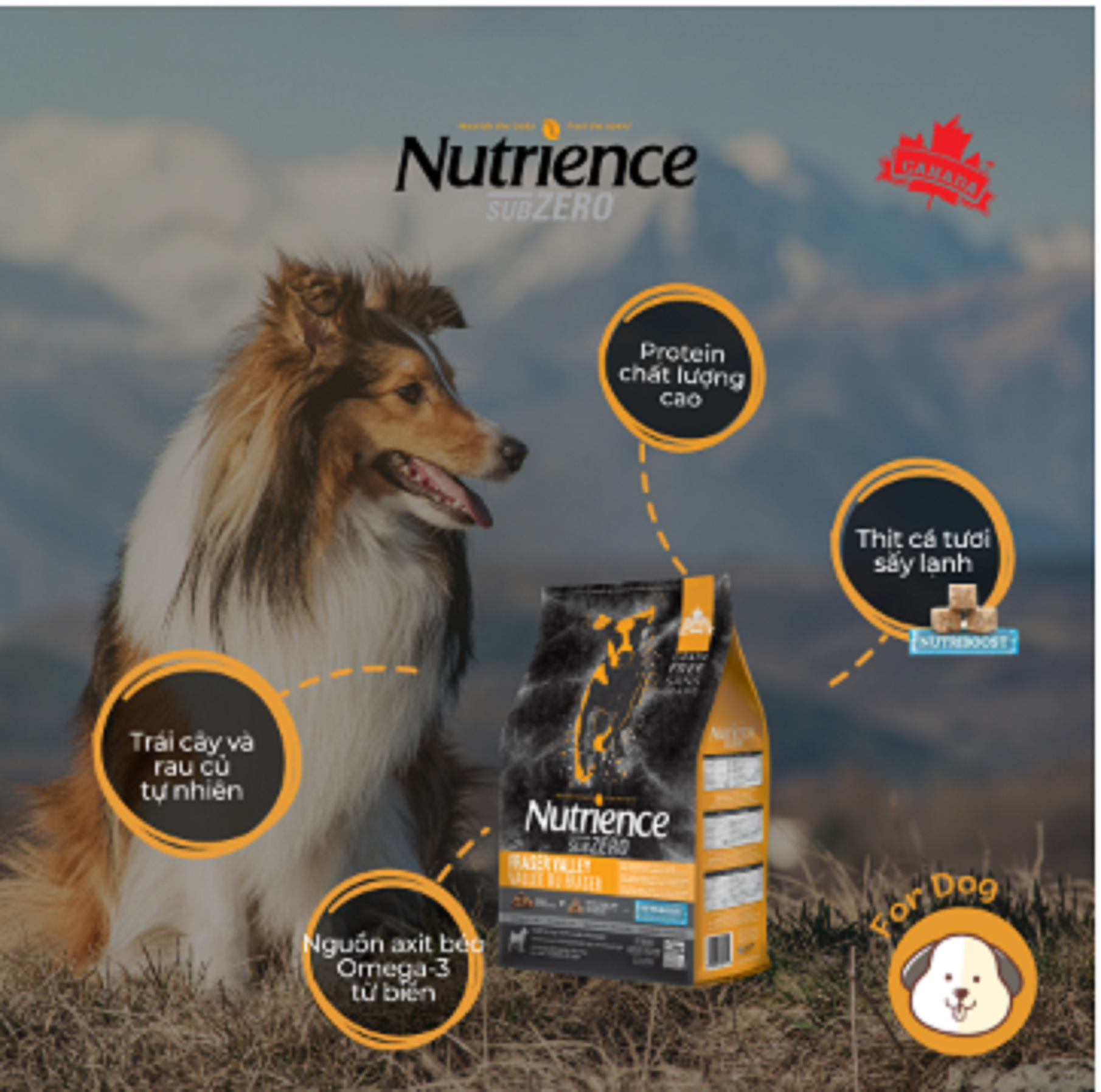 Hạt cho Chó Nutrience Suzero - Gà Tây, Cá Hồi , Cá Trích, Cá Tuyết & Rau Củ Quả Tự Nhiên - 0.5kg