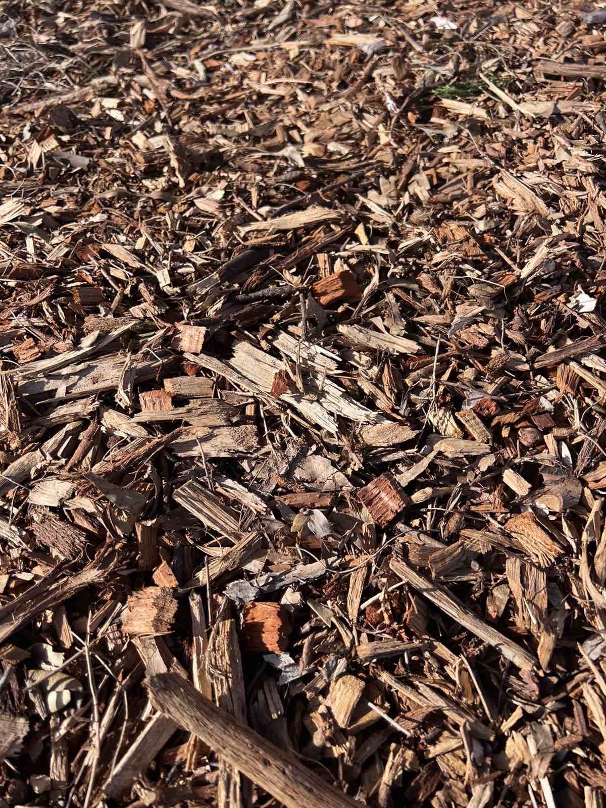 *** Wood chip, chip mulch - tổng kho mảnh gỗ mùn rải sân vườn