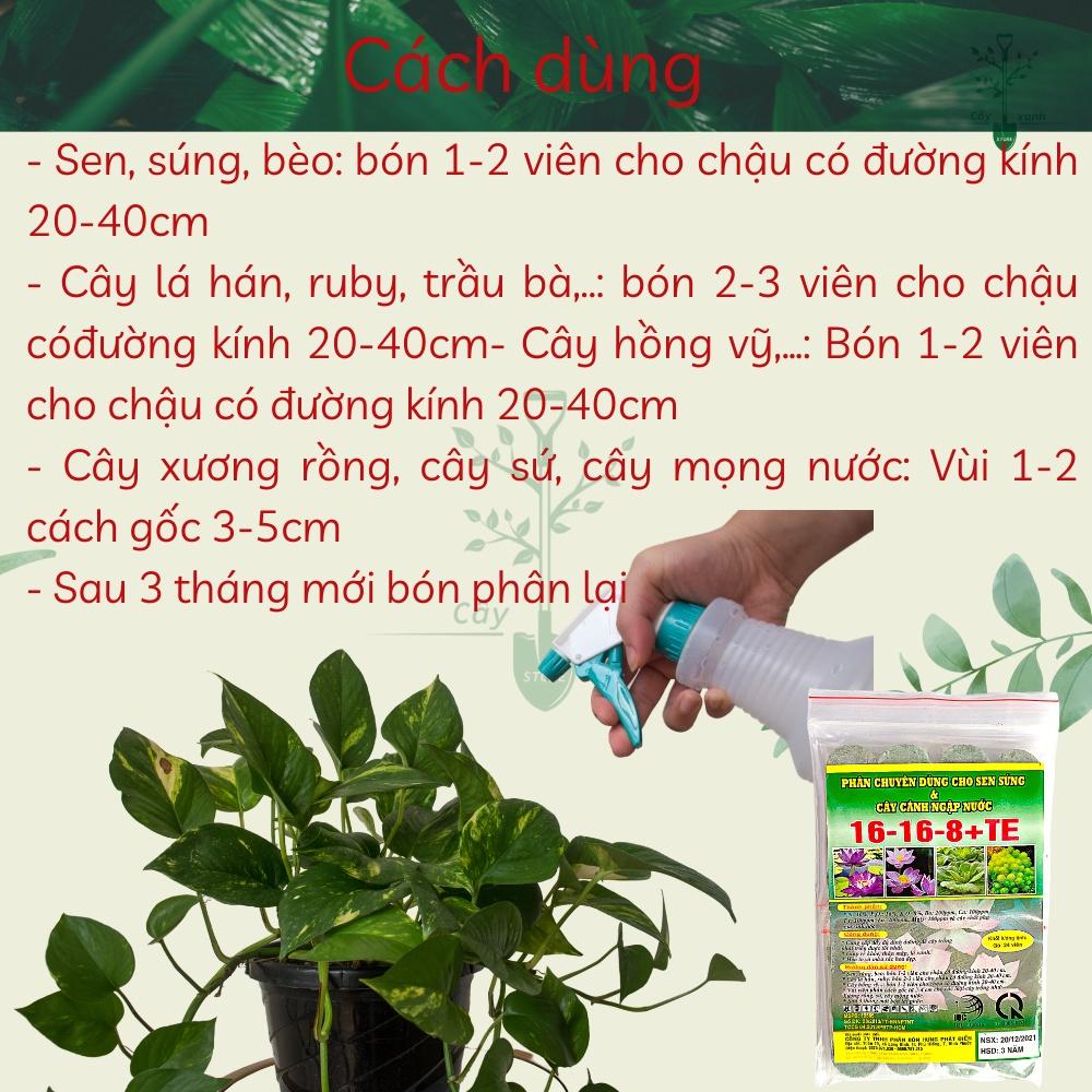 Phân Bón Hoa Sen Và Cây Ngập Nước NPK 16-16-8+TE Gói 24 Viên