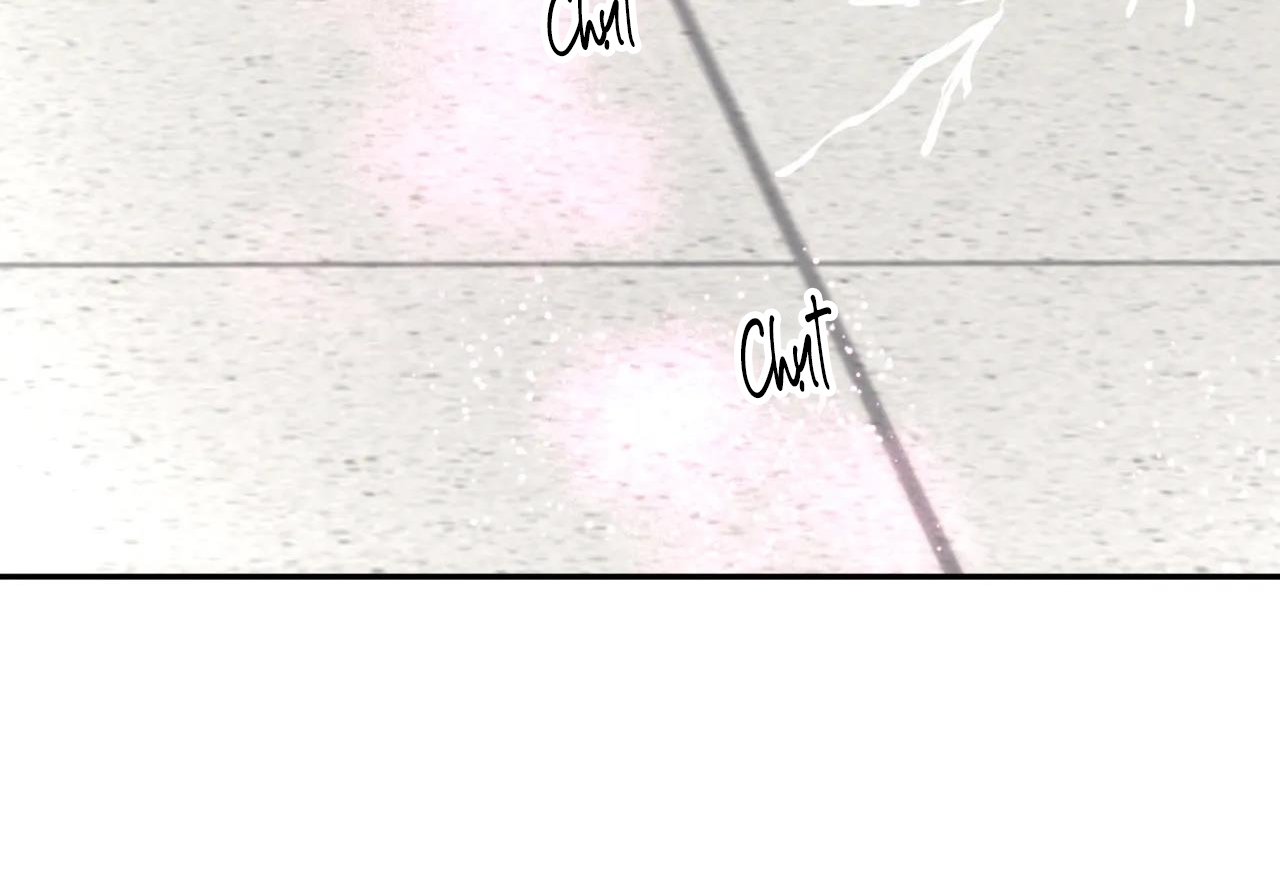 ám ảnh pheromone chapter 38 53