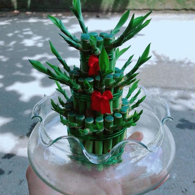 Trúc Phát Tài 3 Tầng