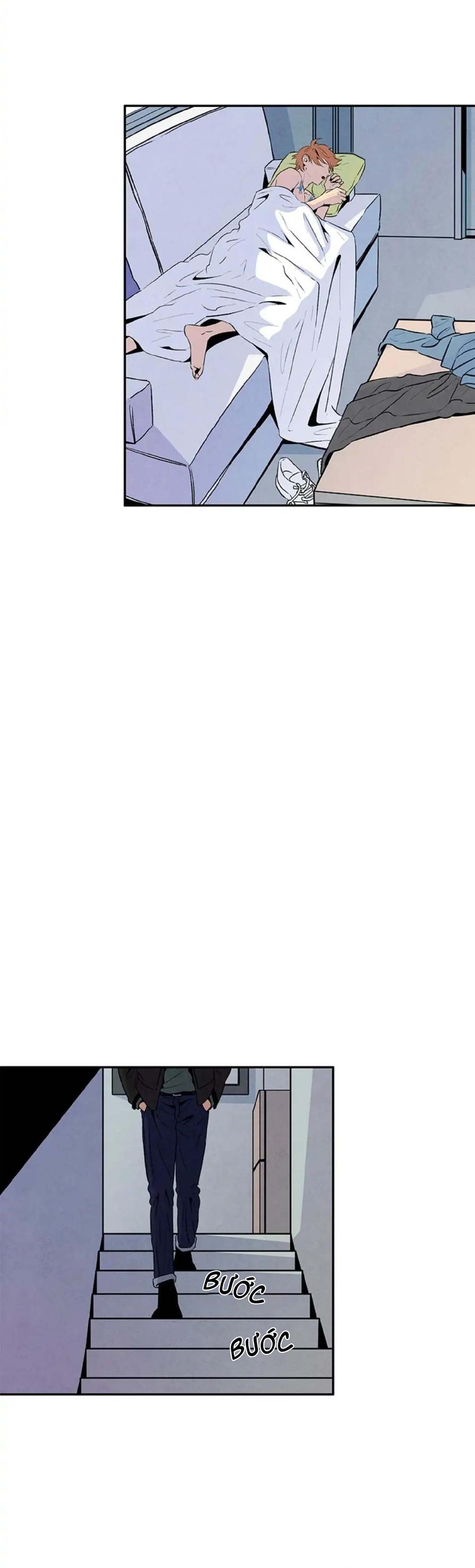 bona sort chapter 18 16