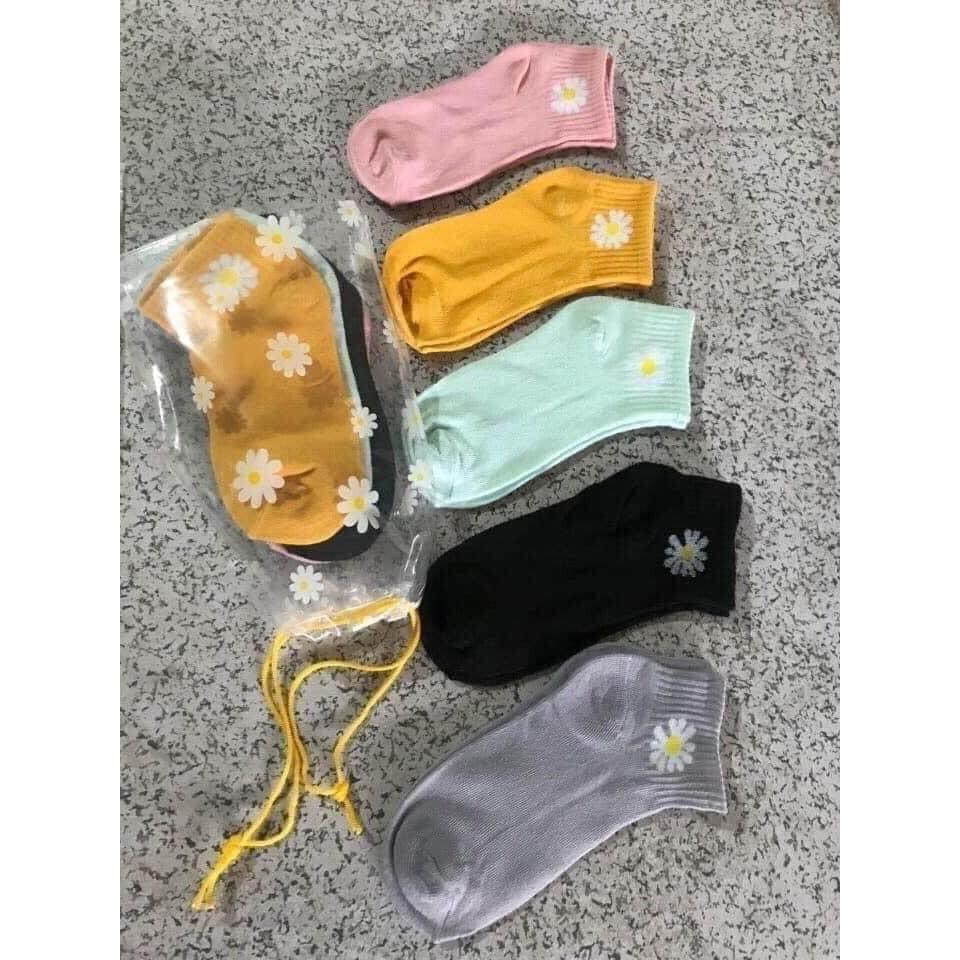 Combo 10 đôi tất hoa cúc kèm túi xinh/ sét 10 đôi tất hoa cúc