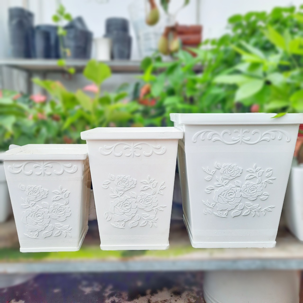 Chậu nhựa vuông họa tiết hoa hồng sang trọng - 3 size thông dụng