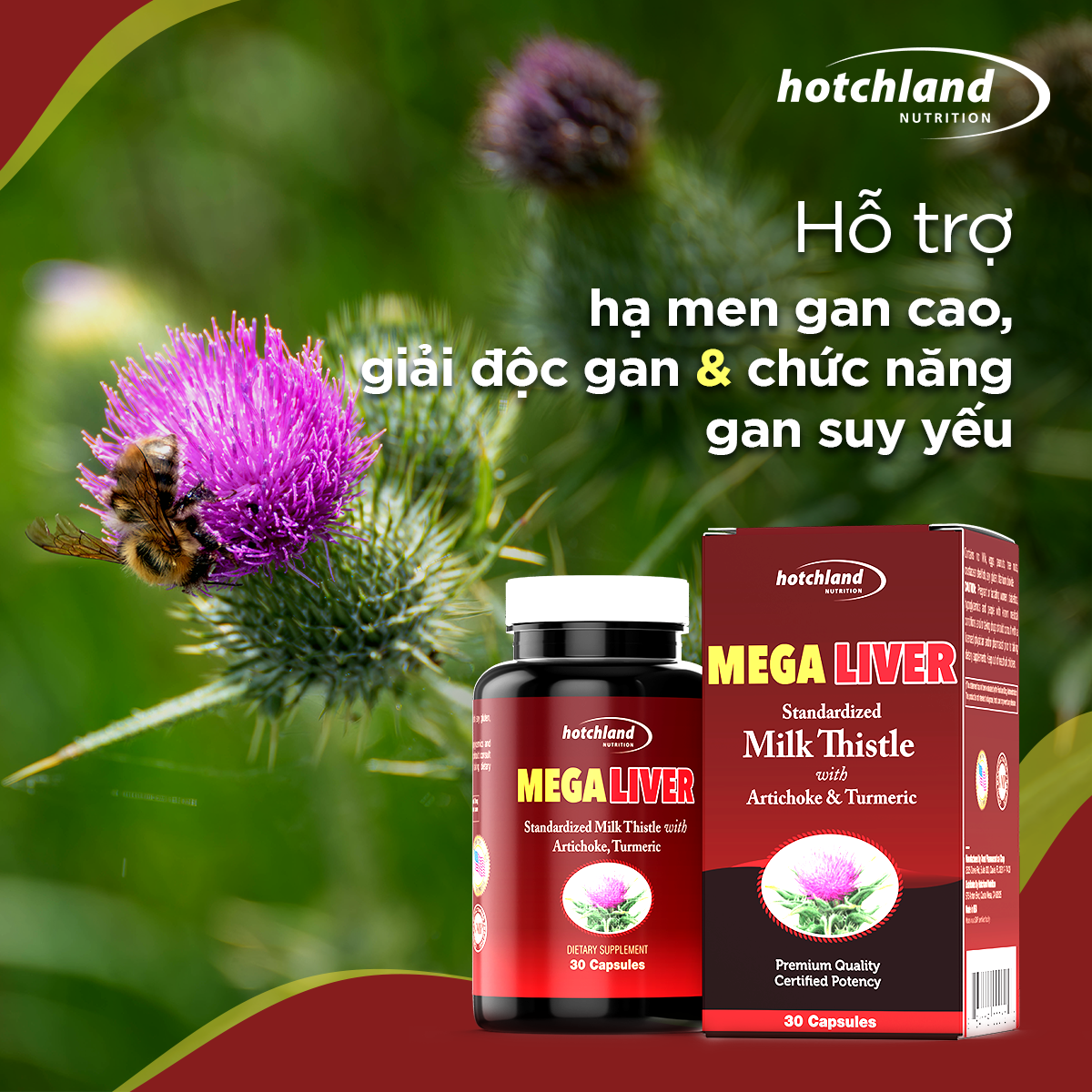 Viên uống hỗ trợ giải độc, hạ men gan, gan nhiễm mỡ, giải độc gan hiệu quả Hotchland Mega Liver TPBVSK-Hàng chính hãng -HL0122