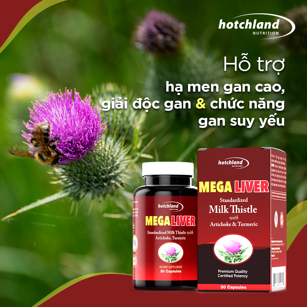 Viên uống hỗ trợ giải độc, hạ men gan, gan nhiễm mỡ, giải độc gan hiệu quả Hotchland Mega Liver TPBVSK-Hàng chính hãng [Hộp 30 viên]-HL0122