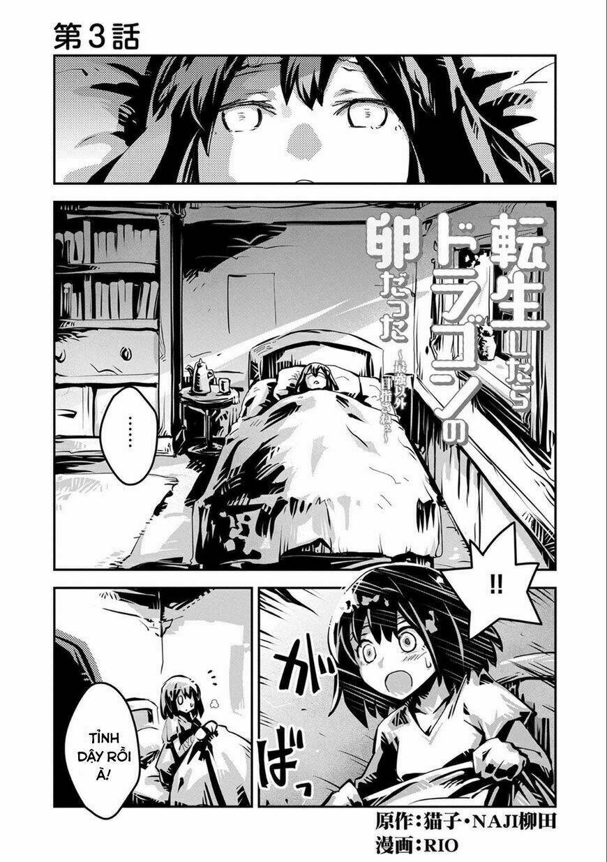 reincarnated as a dragon's egg - let's aim to be the strongest, chapter 3 1