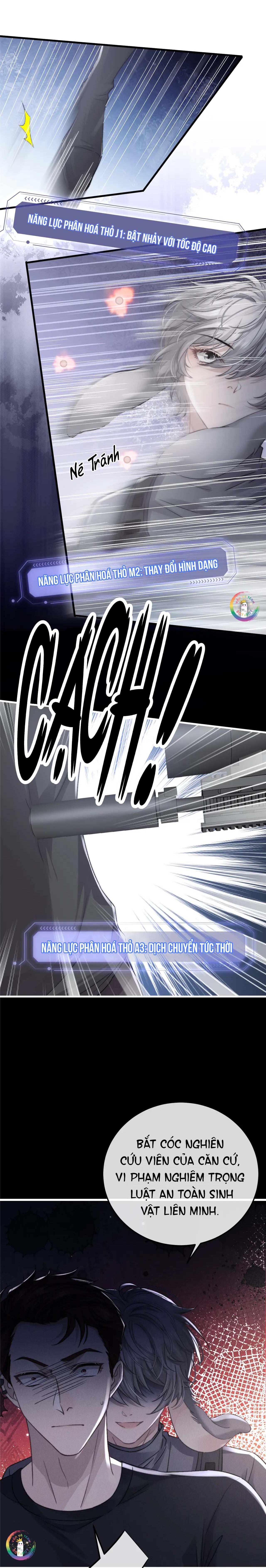 chấp sự thỏ tai cụp chapter 10 2