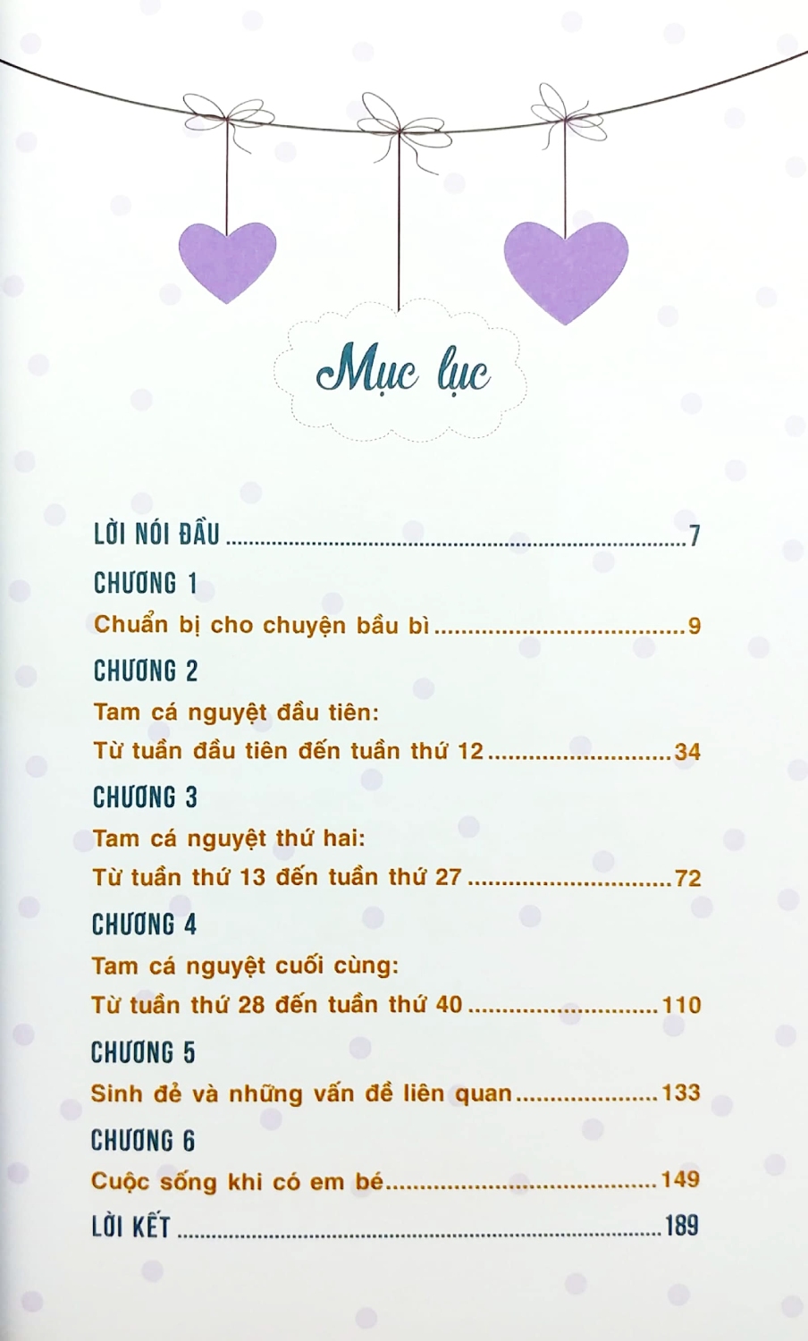 Chăm Sóc Vợ Bầu - Mọi Điều Các Ông Bố Tương Lai Nên Biết - VL