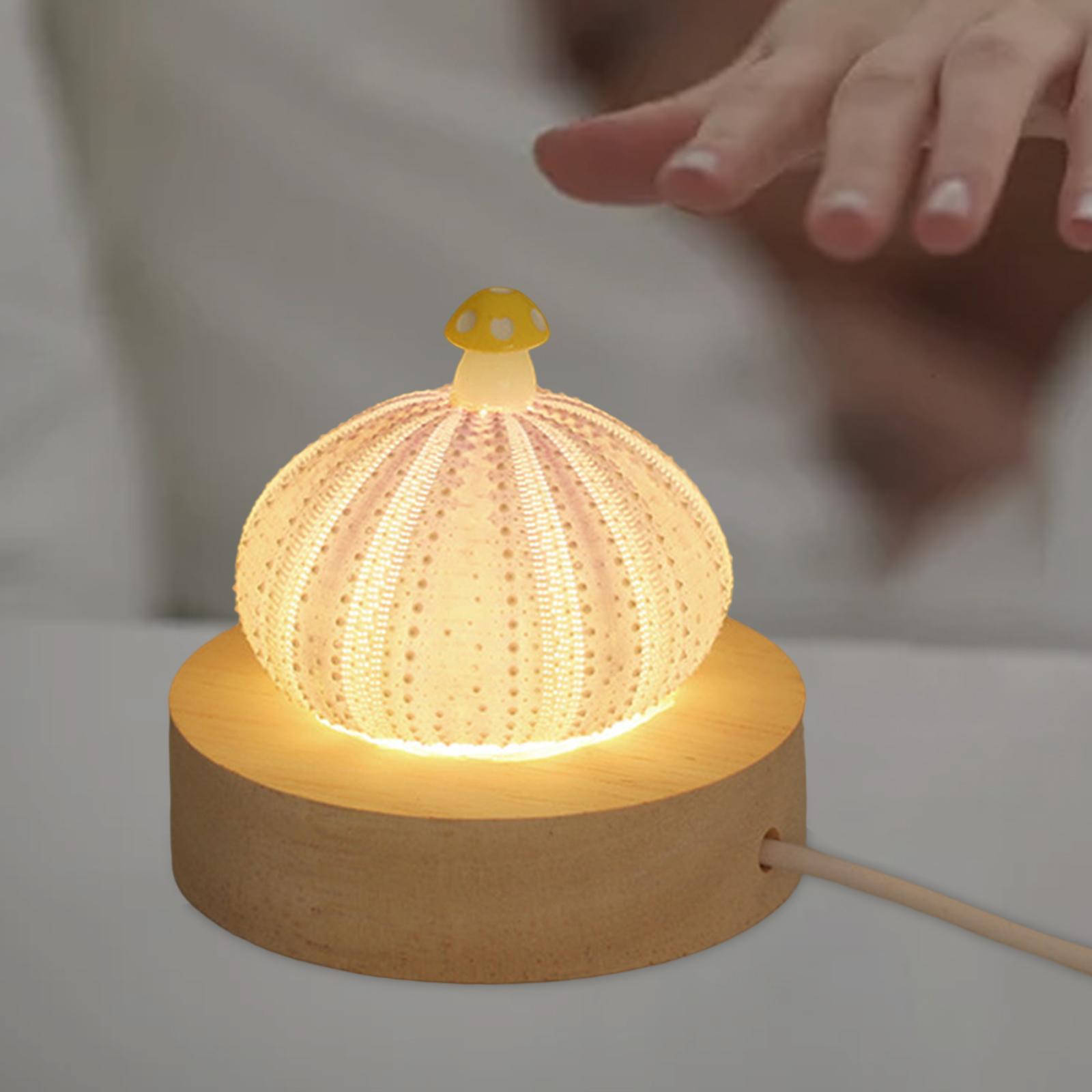 Decorative Table Lights Shell with LED Function Birthday Gift Mini Table Lamp