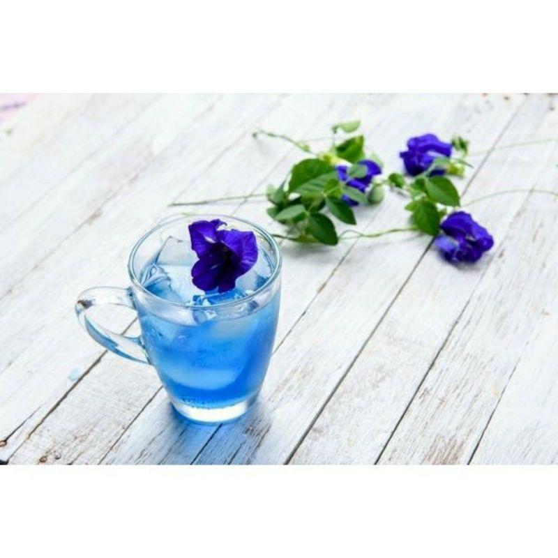 1 GÓI HẠT GIỐNG HOA ĐẬU BIẾC