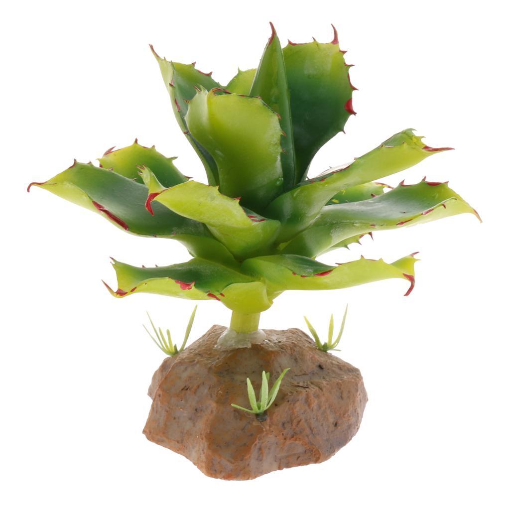 2 Piece Succulent Plant with Resin Base Reptile Terrarium Vivarium Ornament
