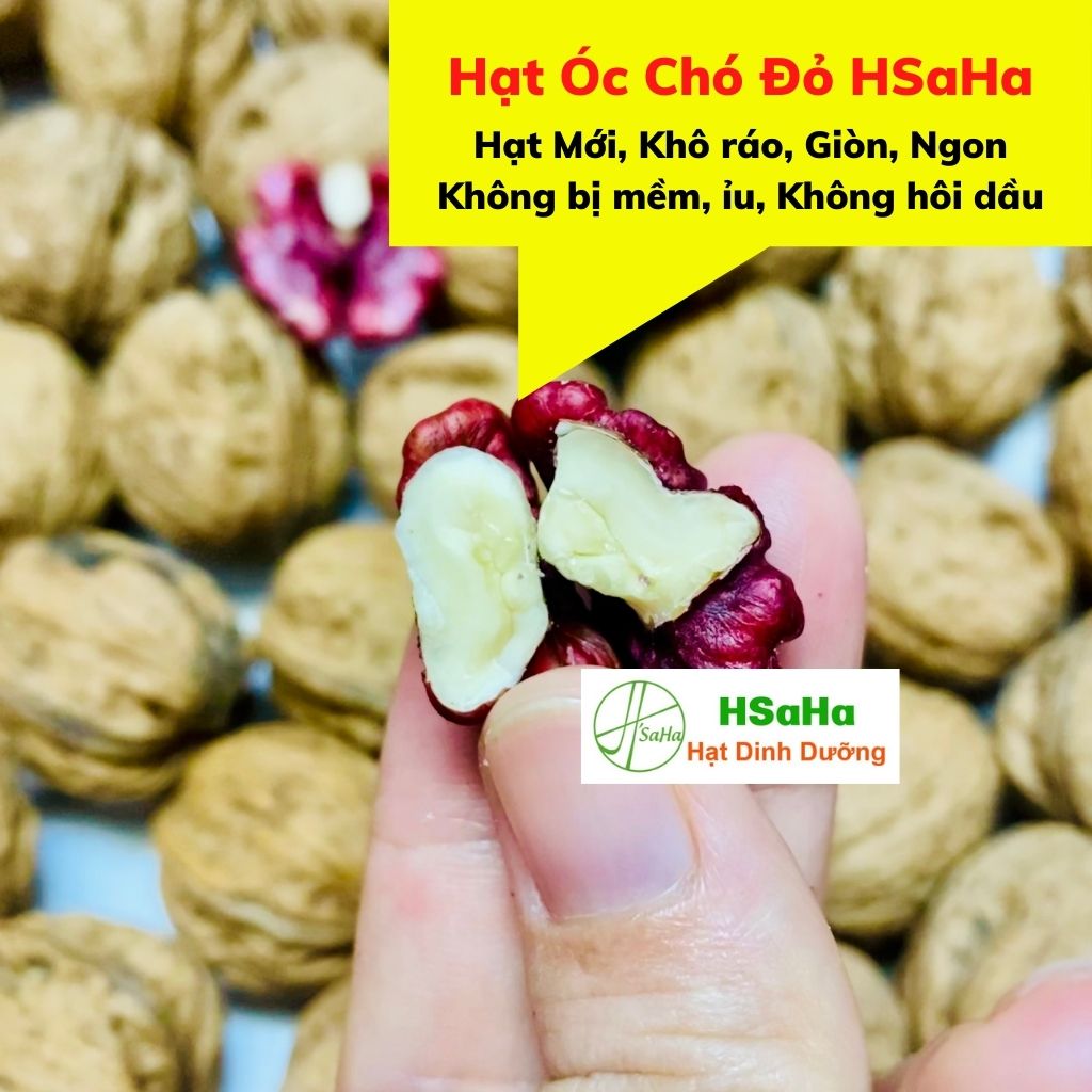 Hạt Óc Chó Đỏ HSaHa - Quả Óc Chó Đỏ Nguyên Vỏ Nhập Khẩu Mỹ, Hàng Mới, Ngon, Không Hôi Dầu, Dùng Làm Sữa Hạt