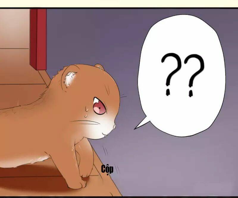 hành trình sủng đế cơ chapter 2 15