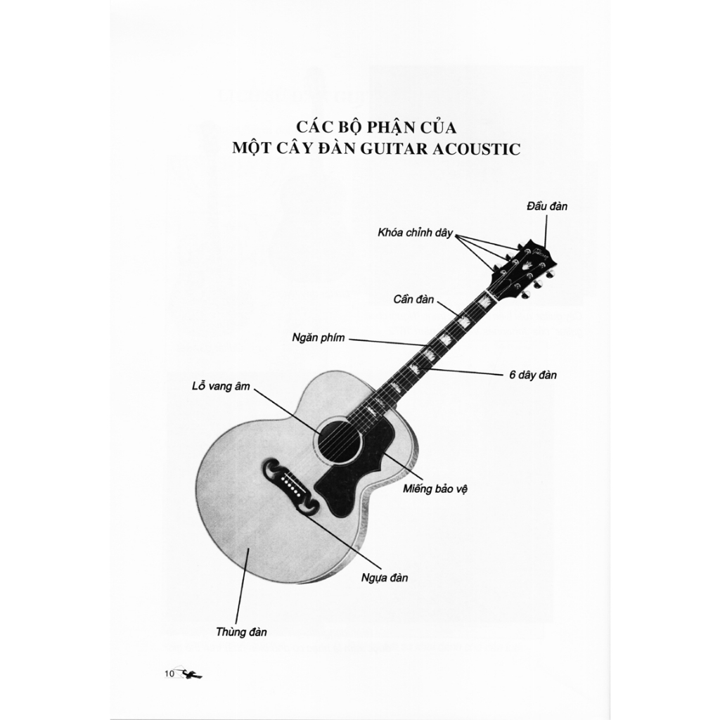 30 Ngày Biết Đàn Guitar