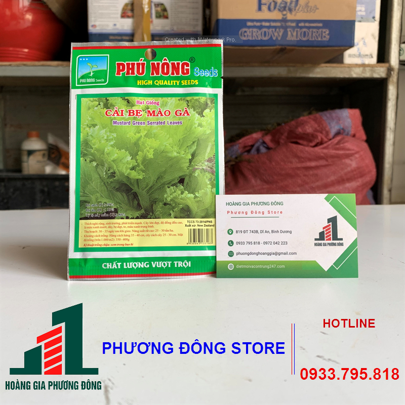 Combo 5-10 gói hạt giống cải bẹ mào gà năng suất cao, dễ trồng