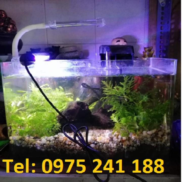 Đèn bể cá T4-40 siêu sáng, 6W, dài 38.5cm, dùng cho bể 40-50cm