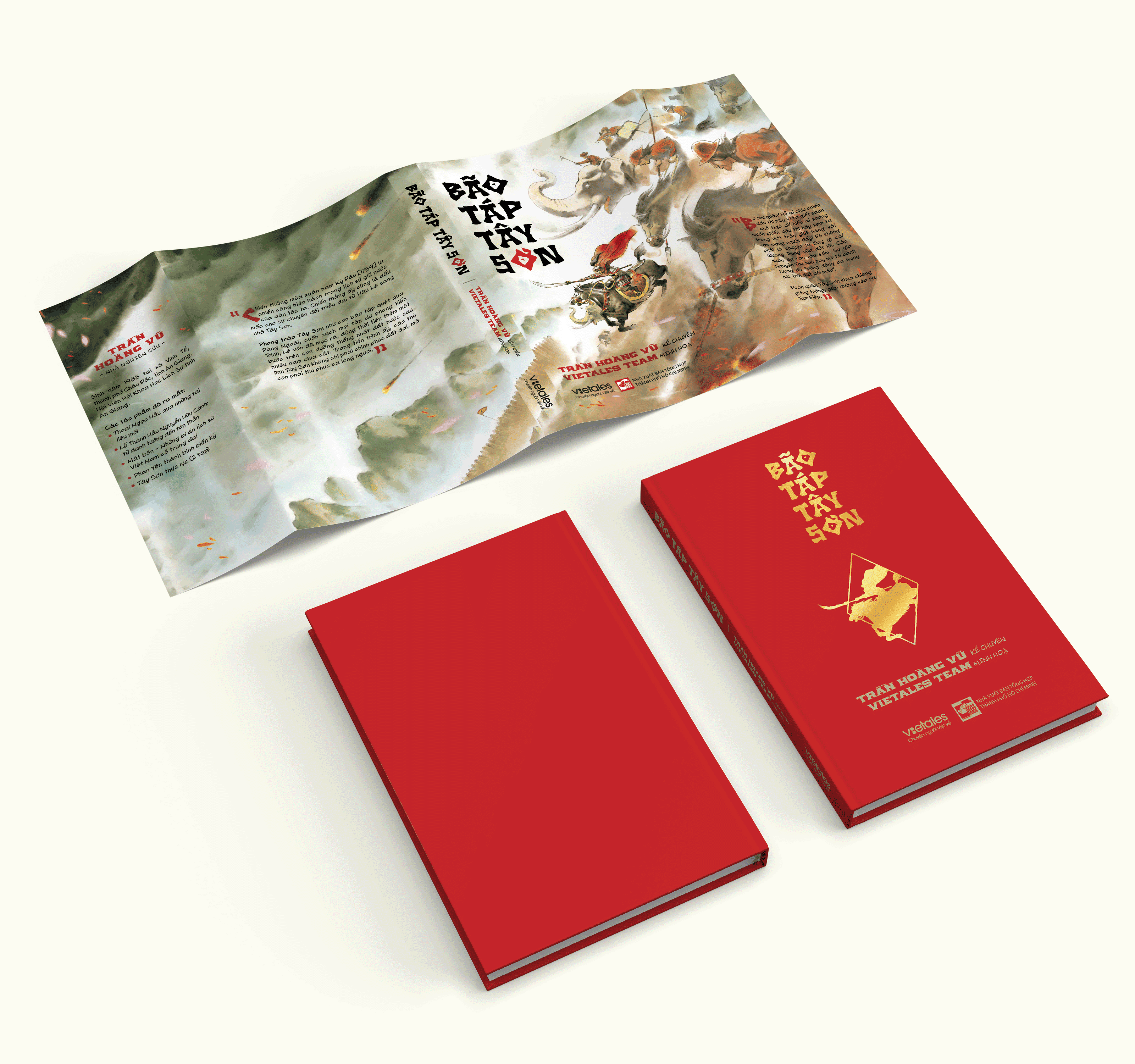 Sách - Bão Táp Tây Sơn - Trần Hoàng Vũ
