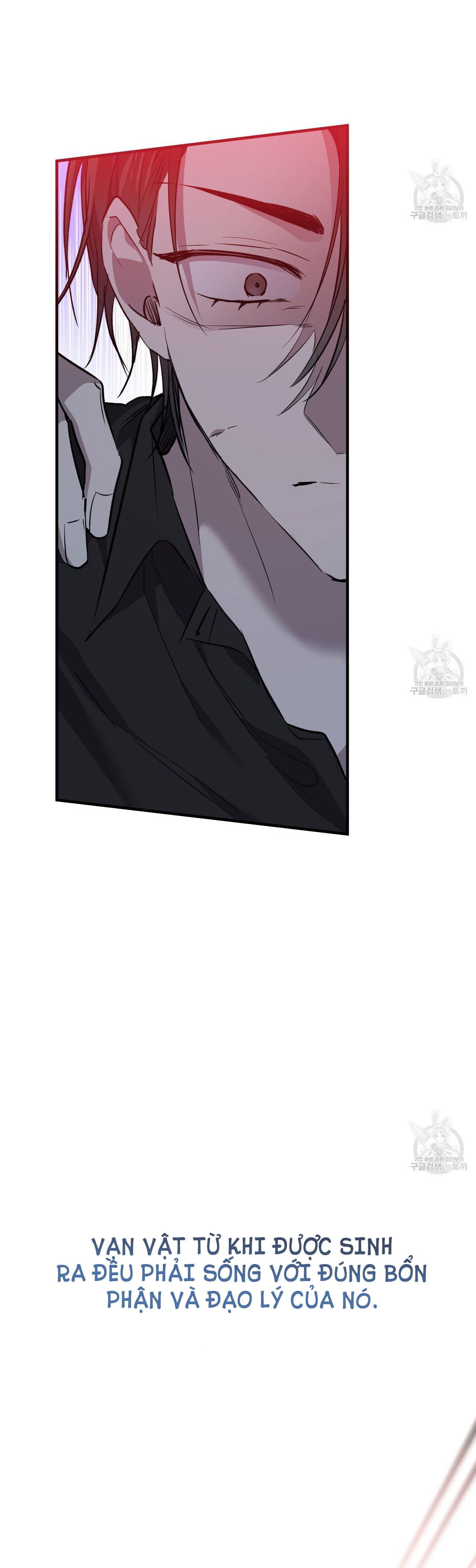 những chú thỏ của hapypy chapter 60.1 4