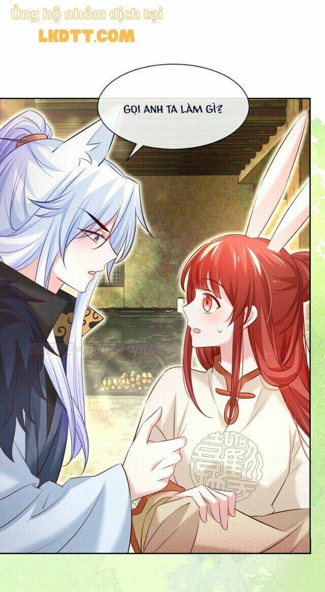 hắc hóa nam chính trực tuyến nuôi thỏ chapter 33 29