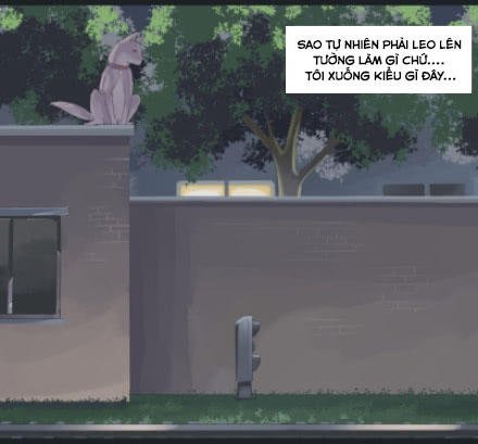 một con chó chapter 8 12