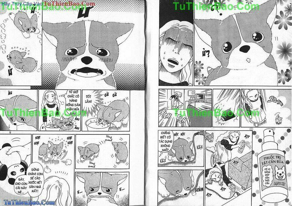 chó con mo mo chapter 2 5