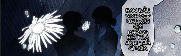 nỗi buồn của hoa cẩm tú cầu chapter 33 16