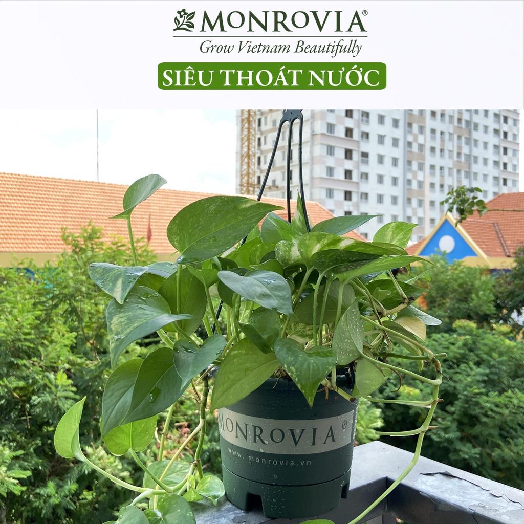 Chậu treo ban công MONROVIA, trồng hoa, cây cảnh, sân vườn, thiết kế tinh tế, thoát nước tốt, tiêu chuẩn Châu Âu