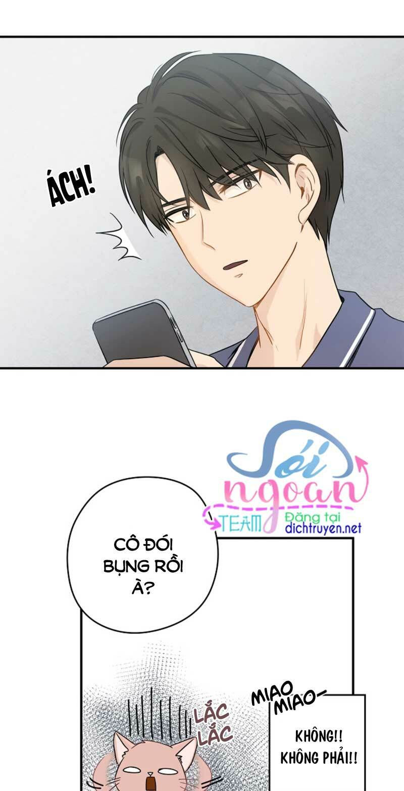cuộc sống kỳ thú chapter 3 8