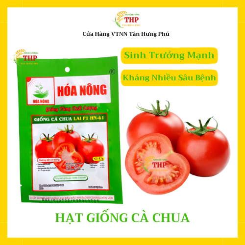 Hạt giống Cà Chua Lai F1 HN-41 | Hạt Giống | Gói 0.1gr