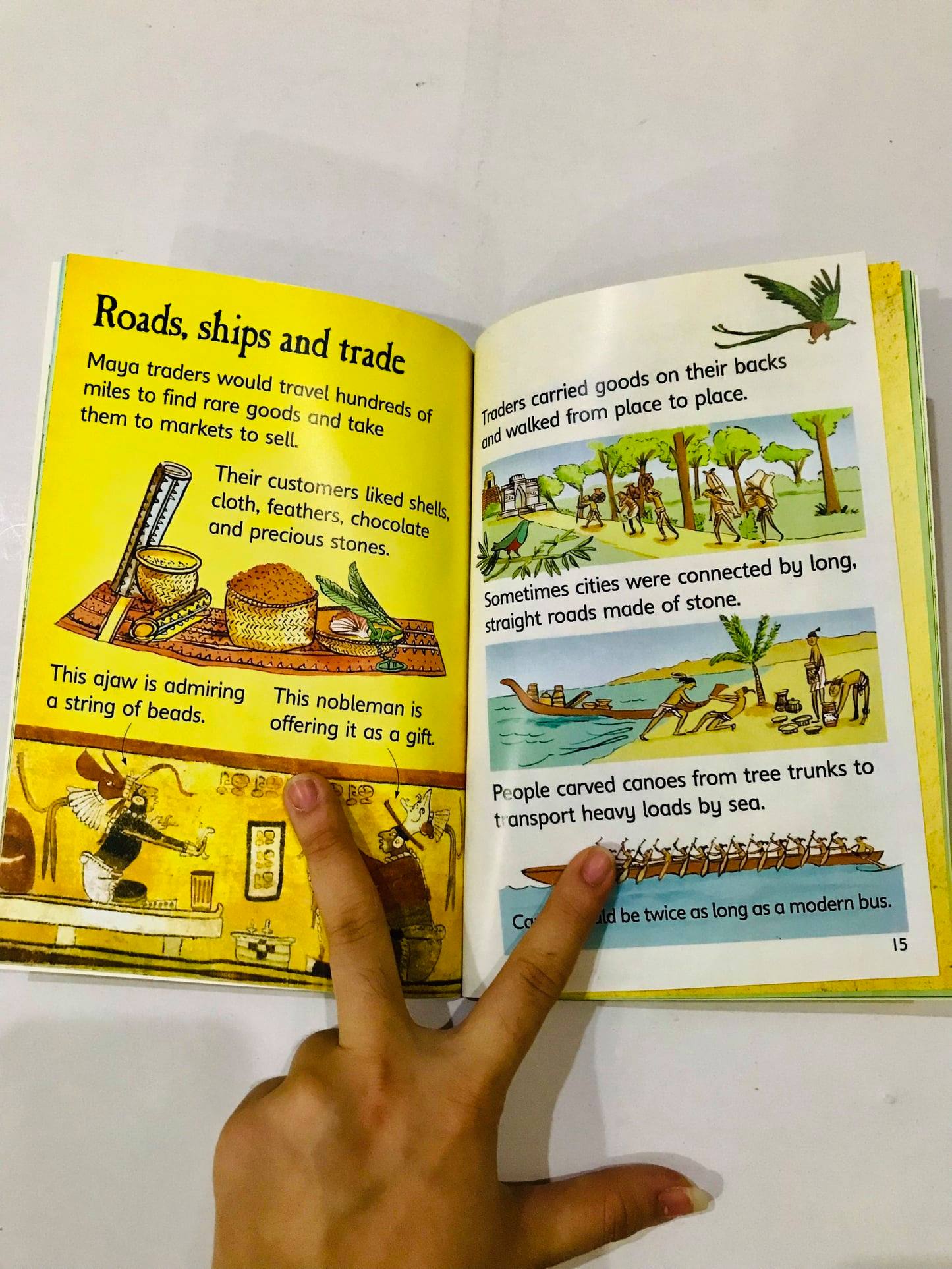 Usborne beginners history, bộ nhập, 10c