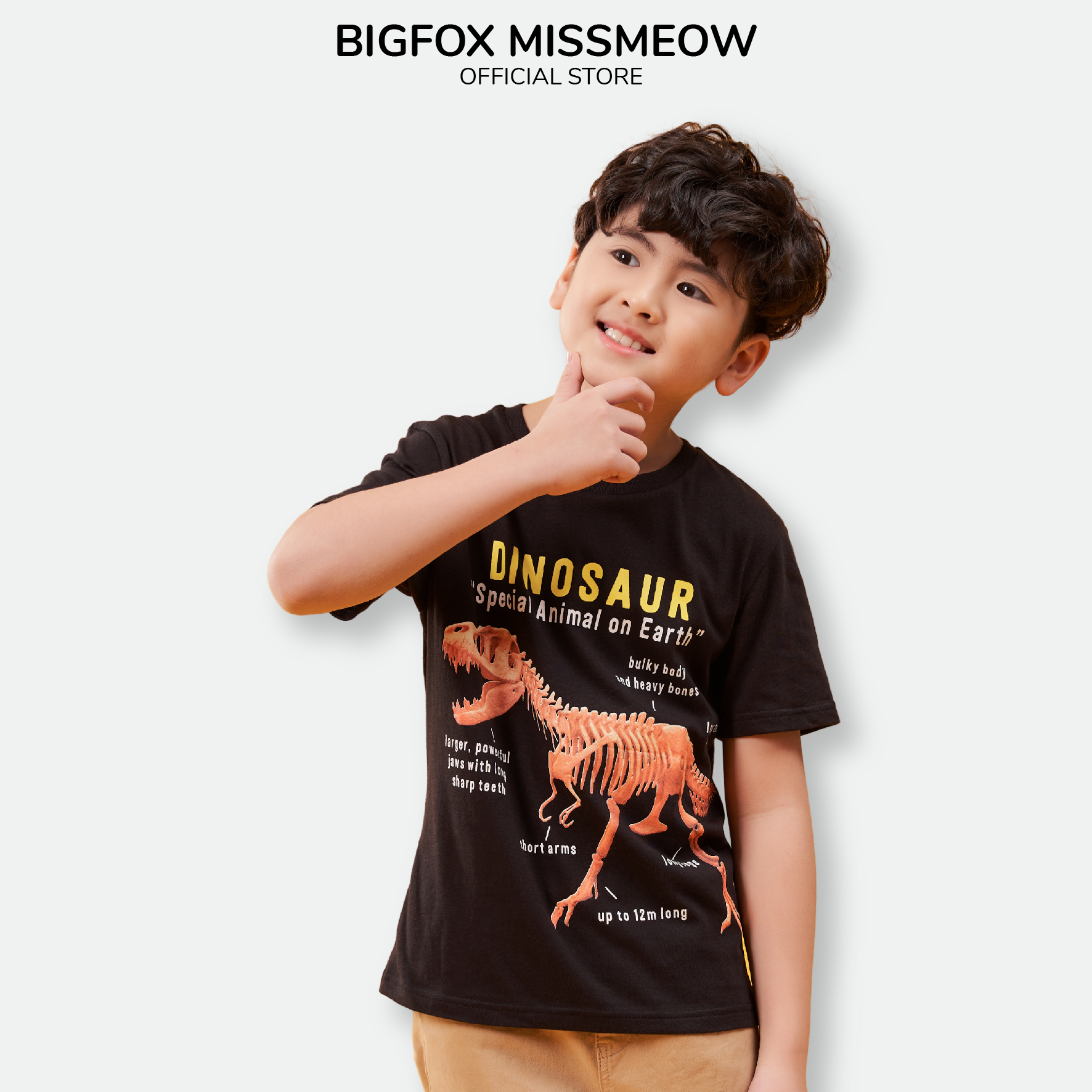 Áo thun bé trai BIGFOX - MISS MEOW size đại, áo cho bé chất cotton phong cách Âu Mỹ in Khủng Long Dinosaur 11 - 40 kg QATE