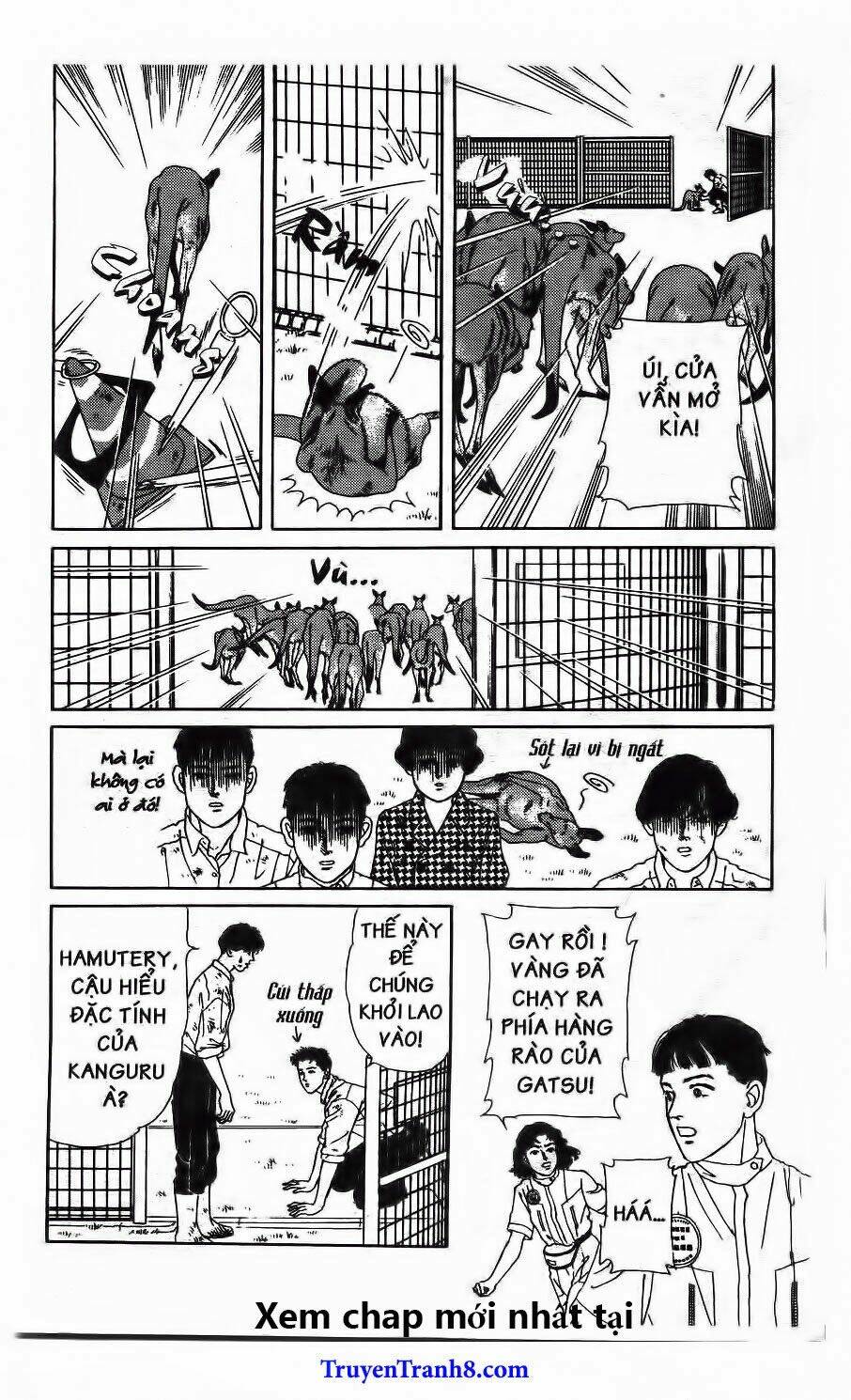 doubutsu no oishasan chapter 116 15