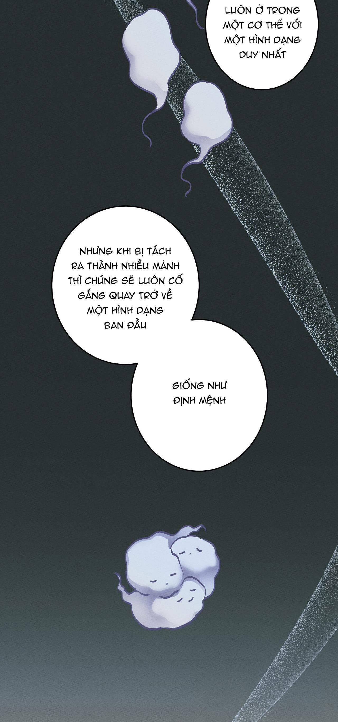 bl cổ trang - âu cổ ngắn nhà kim chapter 39.8 55