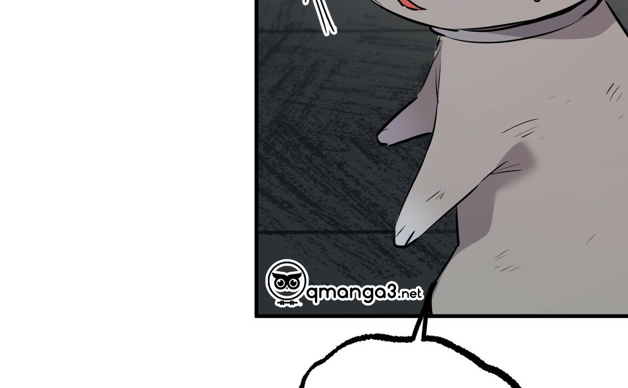 đàn thỏ của habibi chapter 46 144