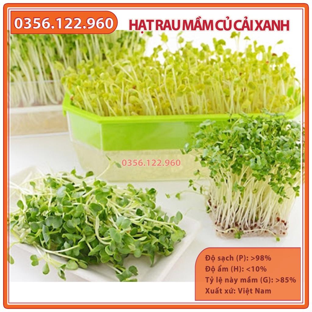 Hạt rau mầm rau Củ cải Trắng - gói 1kg