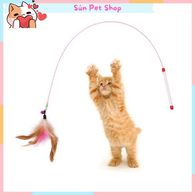 Đồ chơi cho mèo - Gậy cần câu cá cho mèo cưng