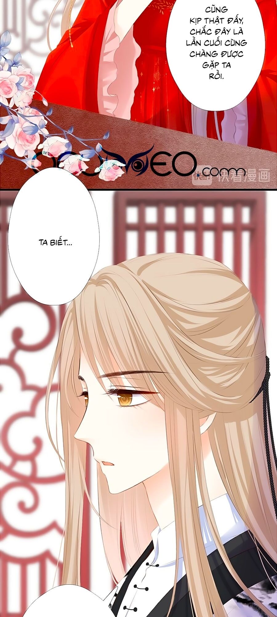 hoa chưa nở rộ chapter 49 5