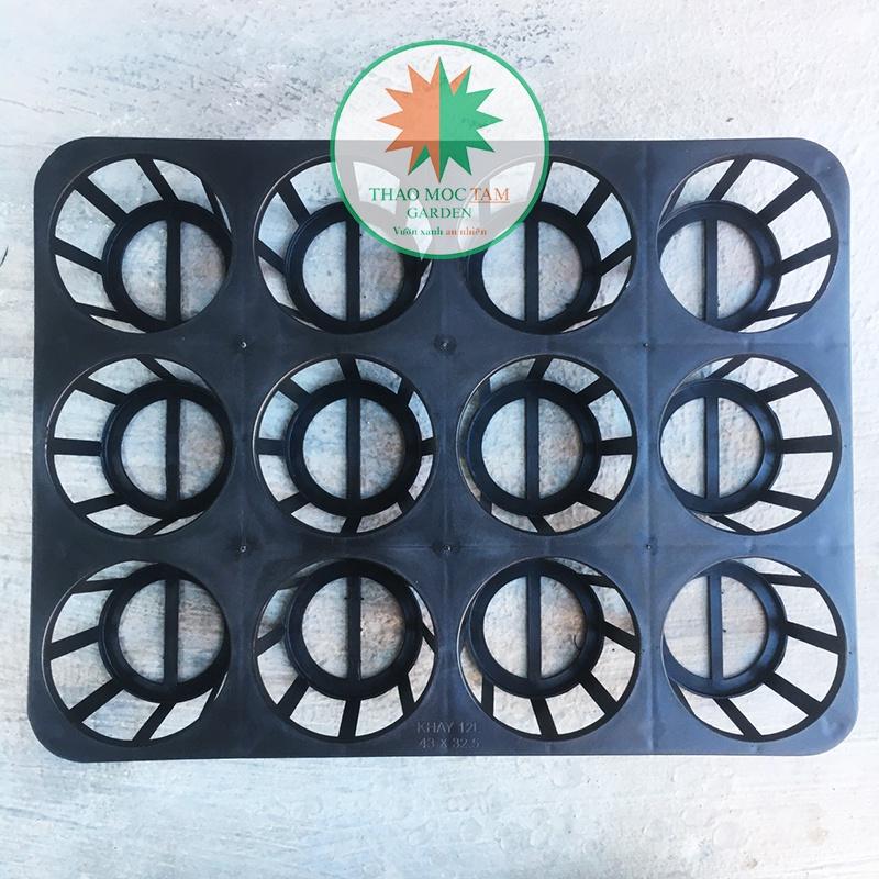 Khay đựng chậu 12 lỗ tròn – Đựng chậu trồng cây, ươm cây giống, hoa lan